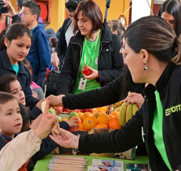 Programa de educación en alimentación saludable
