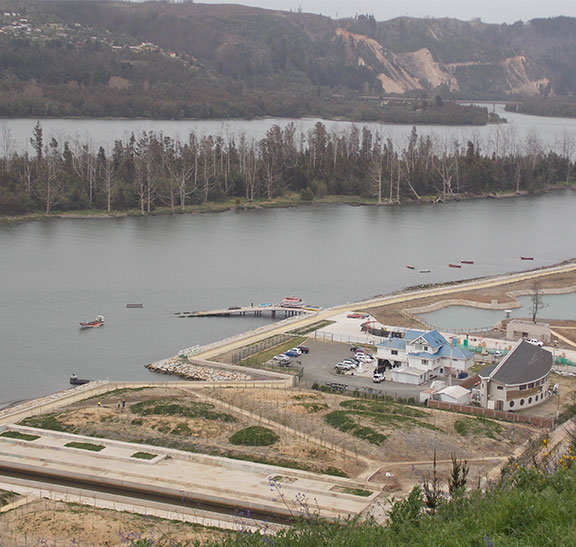 Plan Maestro de Reconstrucción Sustentable en Constitución