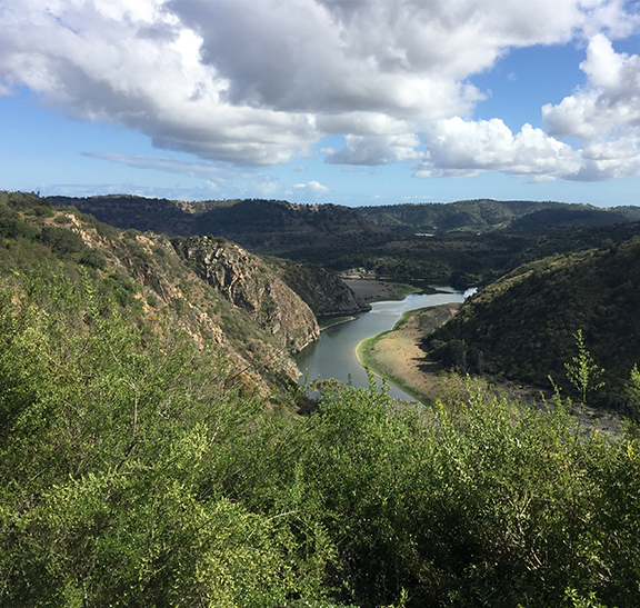 Programa de Conservación de Bosque Nativo