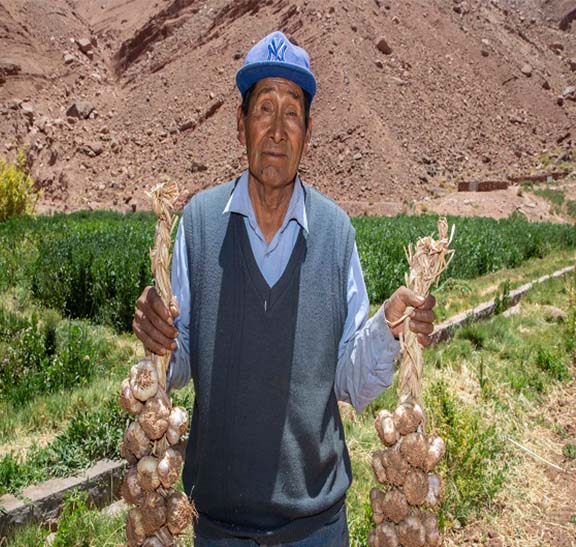 Programa de Fomento productivo Tierra Fértil