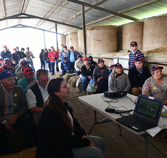 Programas de Alianzas Productivas