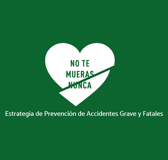 Lesiones Graves y Fatales – LGF