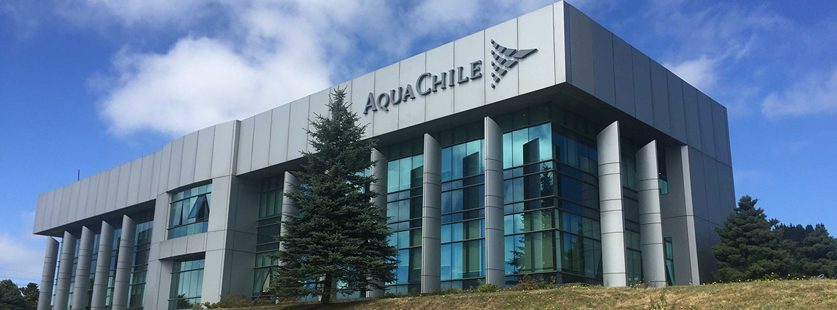Aquachile