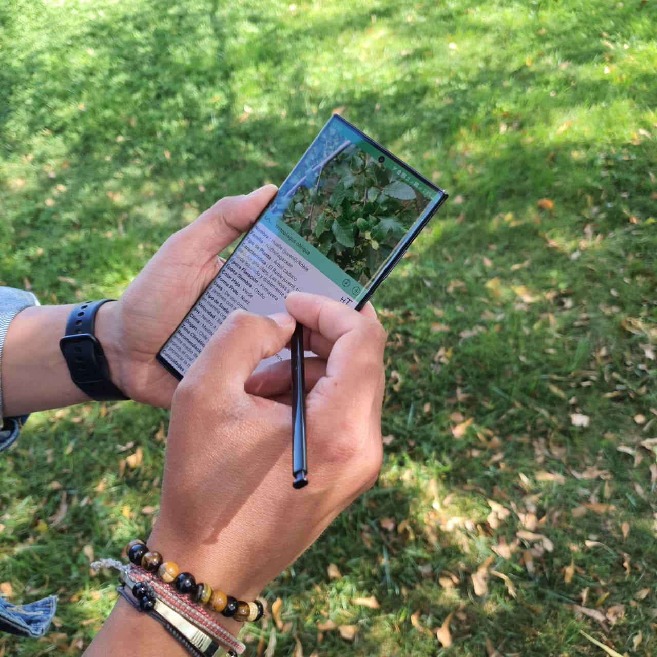 Censo botánico Caja Los Andes