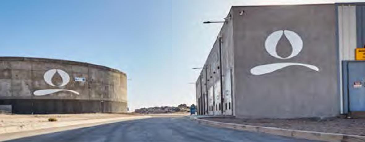 Nueva Atacama